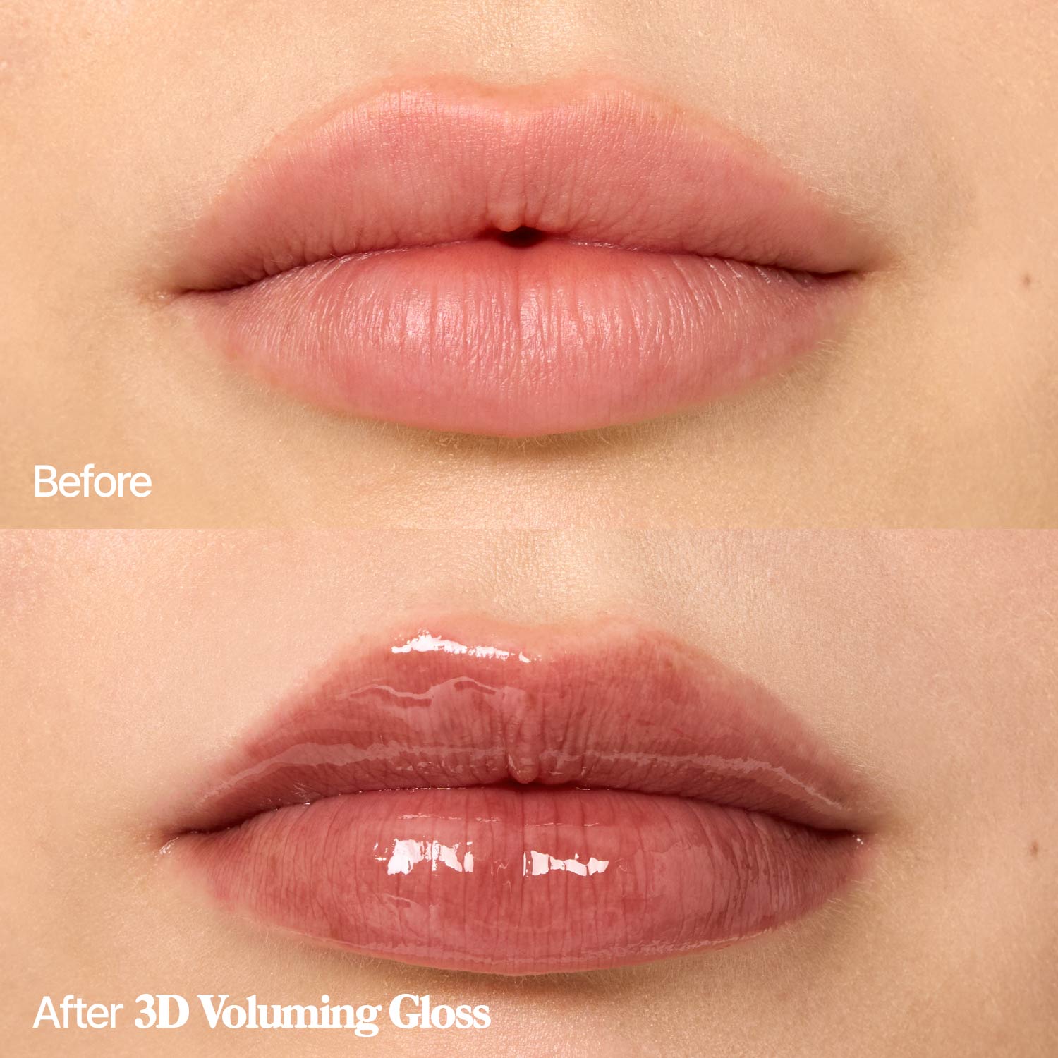 3D Voluming Gloss